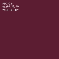 #5C1C31 - Wine Berry Color Image